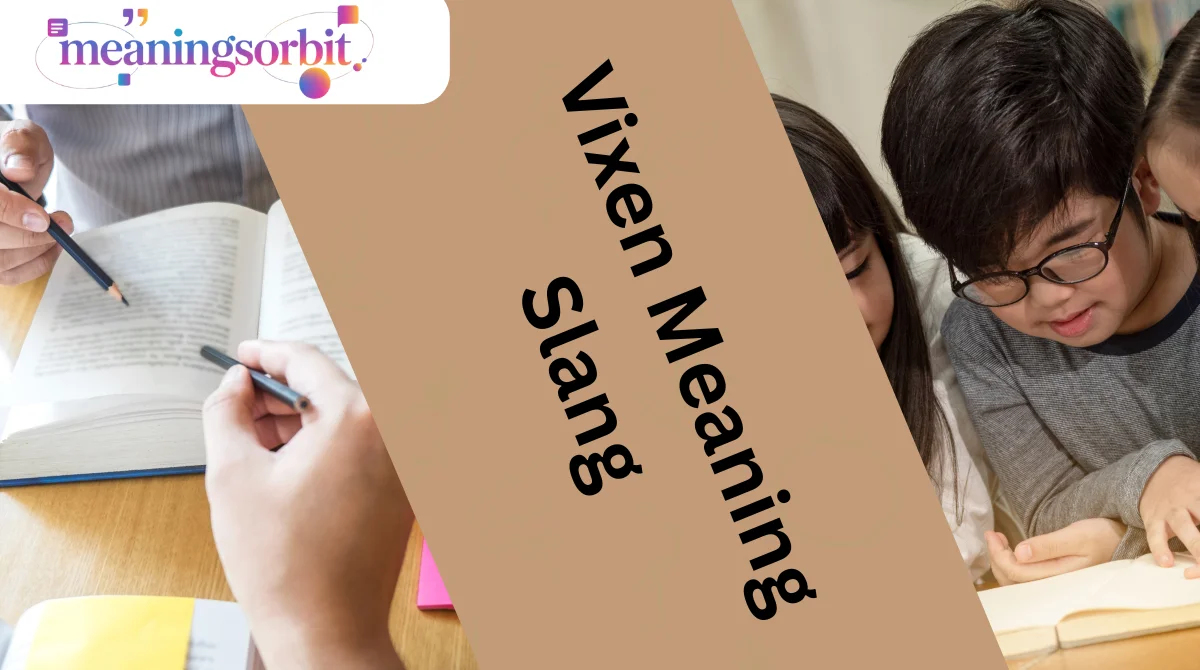 Vixen Meaning Slang