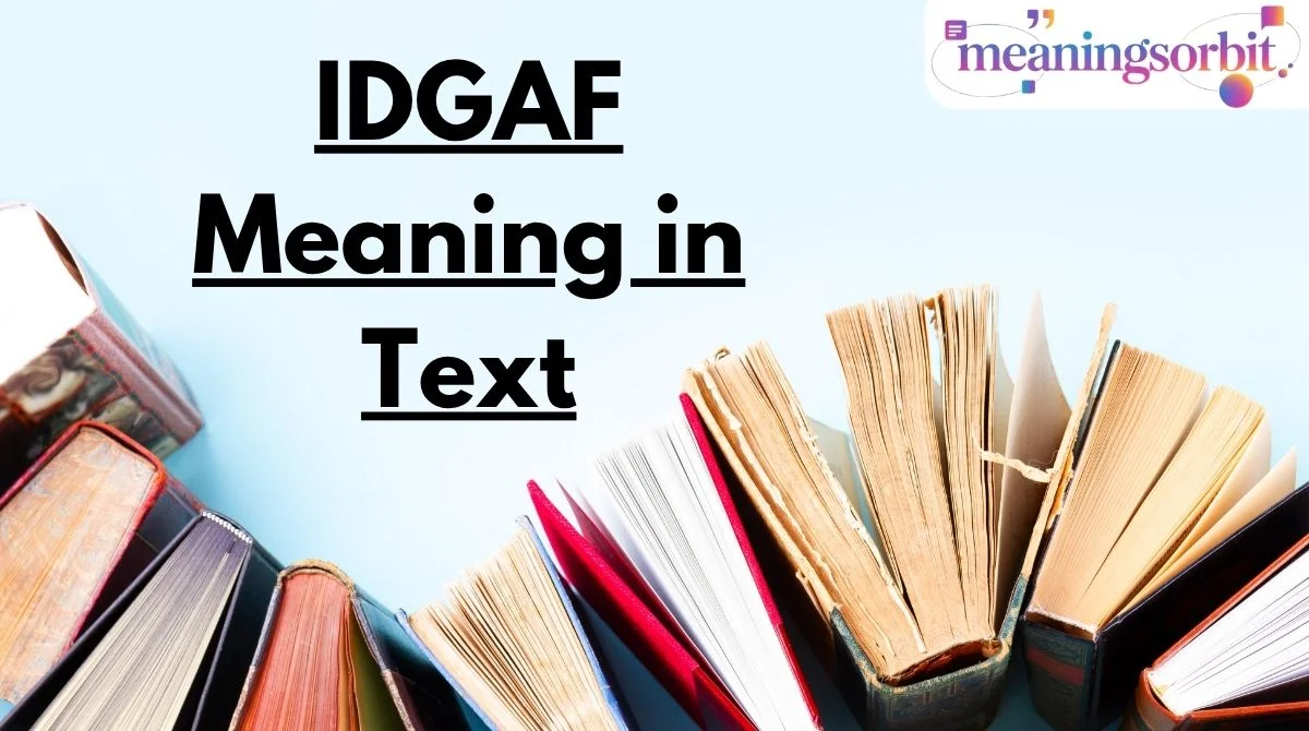 IDGAF Meaning in Text