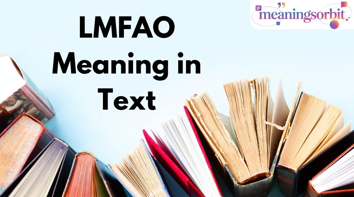 LMFAO Meaning in Text